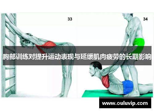胸部训练对提升运动表现与延缓肌肉疲劳的长期影响